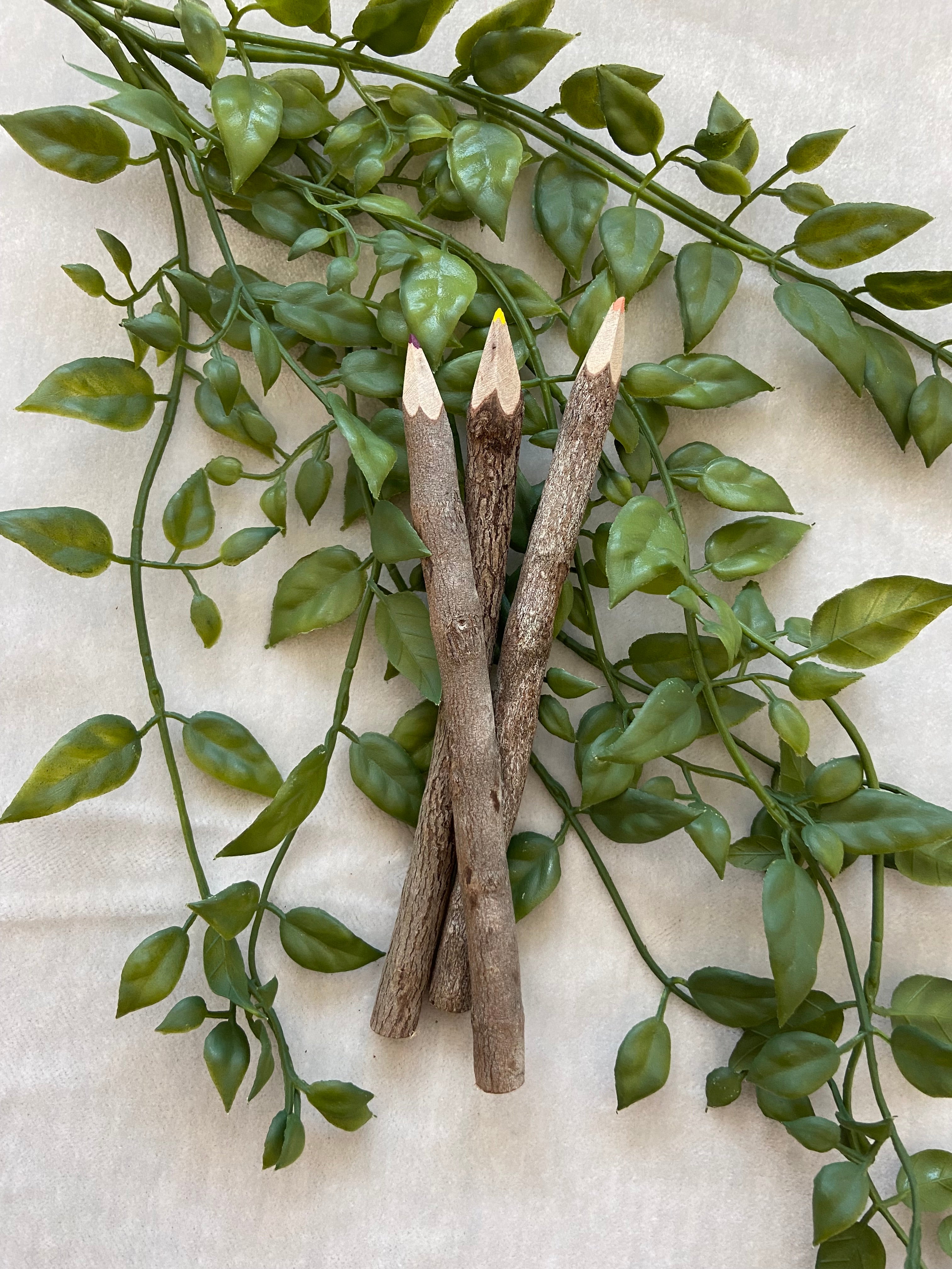 Twig Color Pencils – Wild Nuggets
